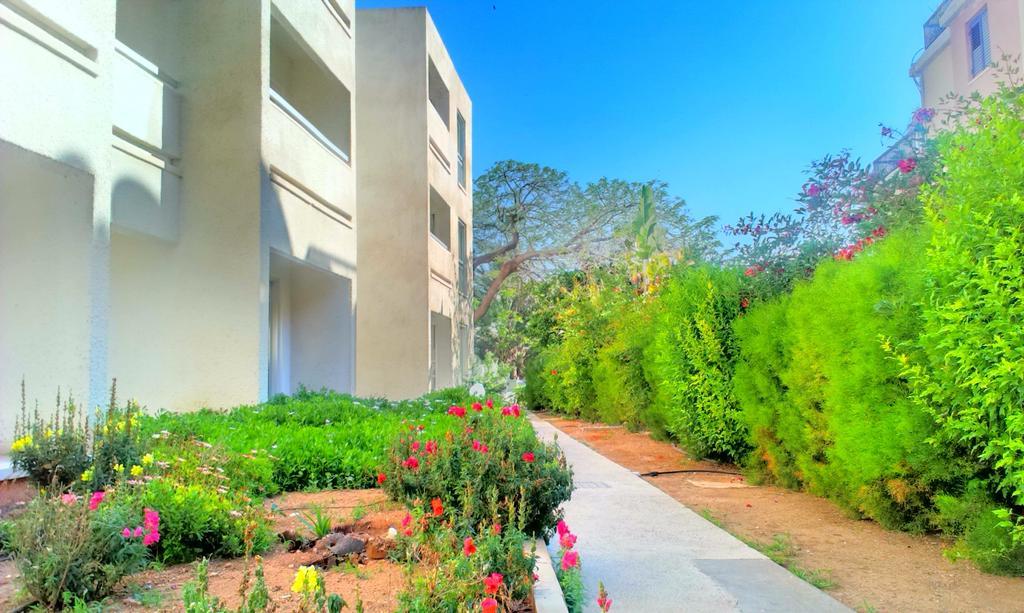Daphne Hotel Apartments (Adults Only) Paphos Esterno foto